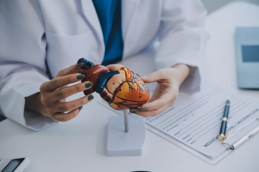 Doctor explaining heart to elderly patient. Doctor explaining the heart model. Doctors pen point to a model of the heart photo