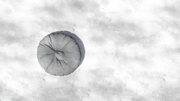 3d rendering round beanbag on sketch photo