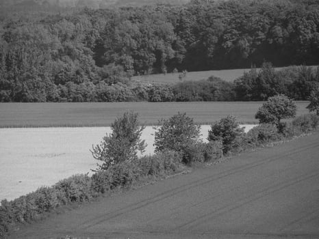 westphalia at summer time photo