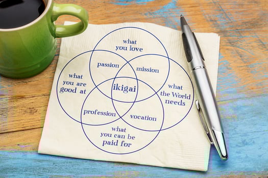 ikigai concept- a reason for being photo