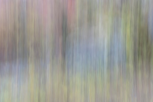 nature motion blur abstract photo