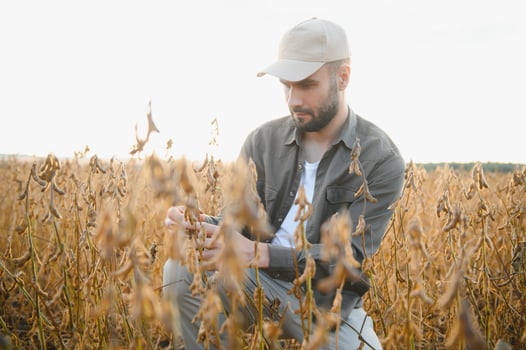Farmer agronomist on a soybean field. Agricultural industry. photo