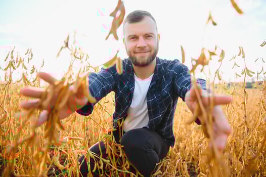 A young handsome farmer or agronomist examines the ripening of soybeans in the field before harvesting photo