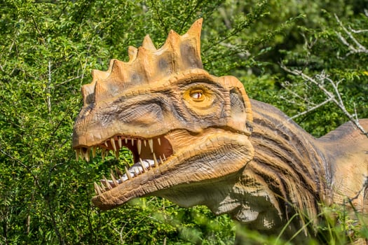 Tyrannosaurus dinosaur in the woods photo