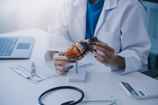 Doctor explaining heart to elderly patient. Doctor explaining the heart model. Doctors pen point to a model of the heart photo