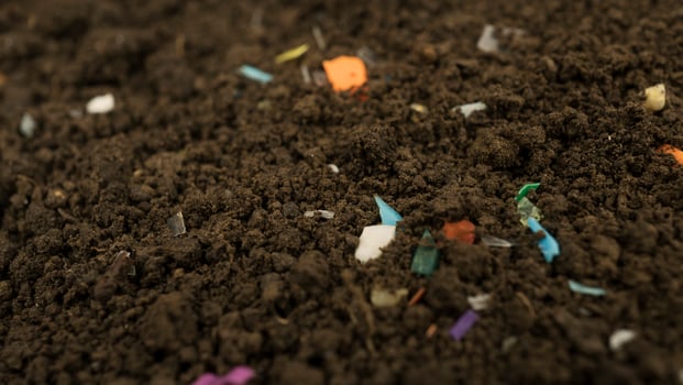 Microplastics inside the soil. Concept of plastic pollution, fertilizing and agroo industry. Non-recyclable plastic pollution in the compost at the field. Selective focus. photo