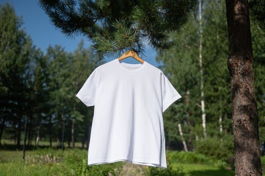 White T-shirt hanging on a hanger, layout photo