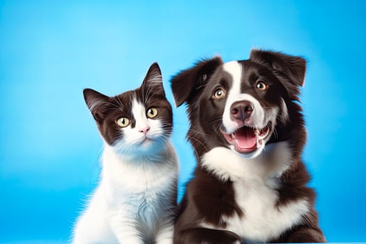 A Dog and a Cat Sitting Together photo