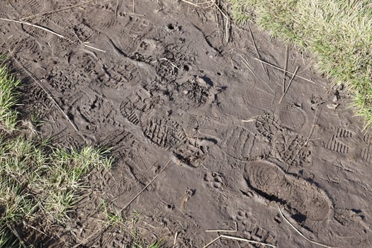 Foot mark on the jungle trail. Shoe prints on wet gravel or mud in mountain area photo