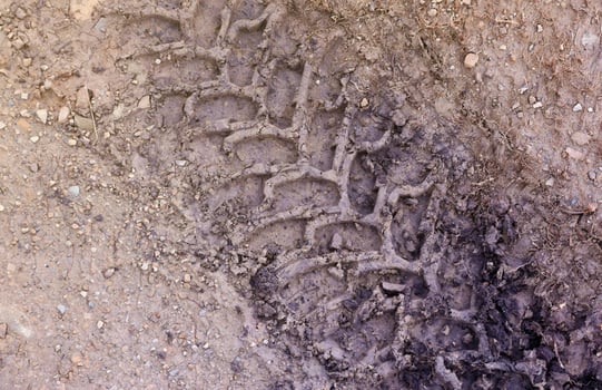 Wheel track on mud. Traces of a tractor or heavy off-road car on brown mud in wet meadow photo