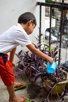 Cute 5 year old Asian little boy is watering the plant in the pots located at house balcony, Love of sweet little boy for the mother nature during watering into plants, Kid Planting photo