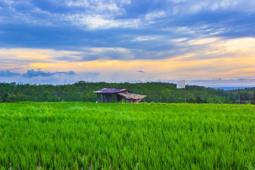 beautiful morning view from Indonesia of mountains and tropical forest photo