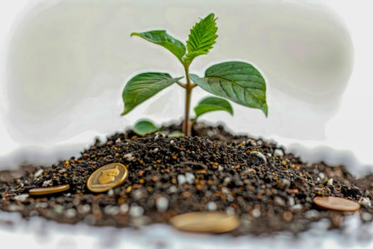 AI generated Investment Growth Concept with Seedling and Coins in Soil photo