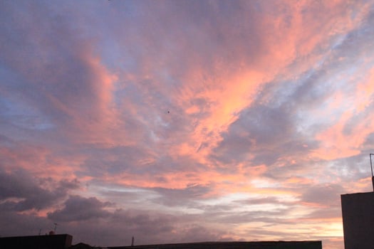 A blue sky captured vertically where it was summer. photo