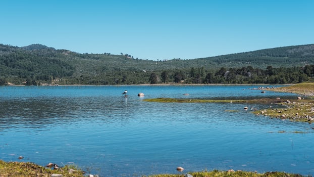 serenity on a lake in patagonia photo