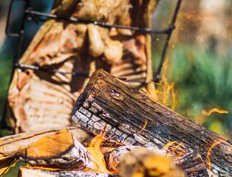 meat and fire. lamb roasted and grilled. photo