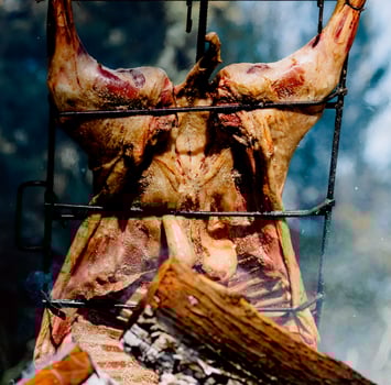 cooking lamb in patagonia photo