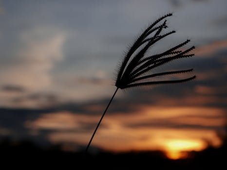 Spectacular sunset over, orange sun rising up over the horizon photo