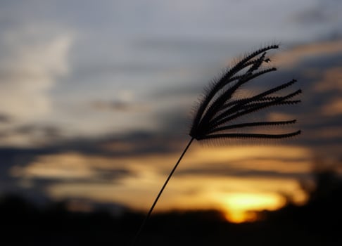 Spectacular sunset over, orange sun rising up over the horizon photo