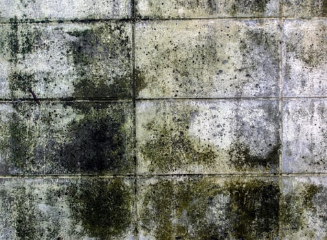 Grey concrete wall for background. photo
