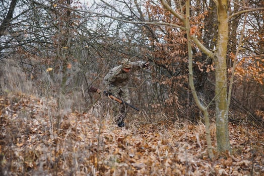 Hunter in uniform with a hunting rifle. Hunting Concept. photo