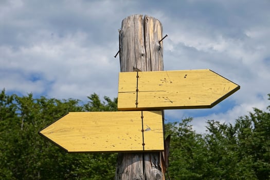 Wooden Signpost with Two Arrows photo