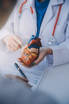 Doctor explaining heart to elderly patient. Doctor explaining the heart model. Doctors pen point to a model of the heart photo