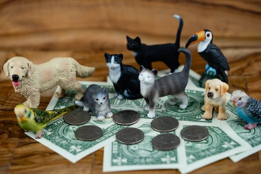 how expensive is a pet photo