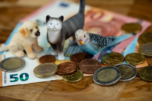 how expensive is a pet photo