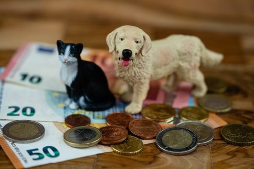 how expensive is a pet photo