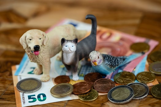 how expensive is a pet photo