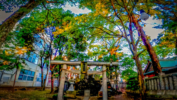 A small deity of Mt.Fuji that enshrines Mt.Fuji. Fujizuka.Hokima Hikawa Shrine, a shrine in Nishihokima, Adachi Ward, Tokyo, Japan. photo