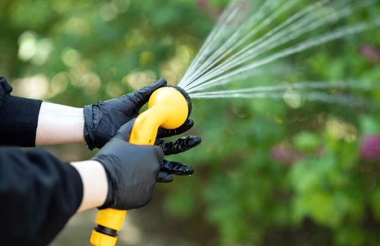 Working watering garden from hose. Hand with garden hose watering plants, close up, blurred background. Gardening concept photo