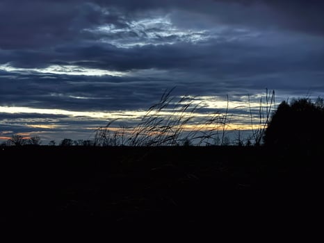 Dawn in the morning in nature on the river photo