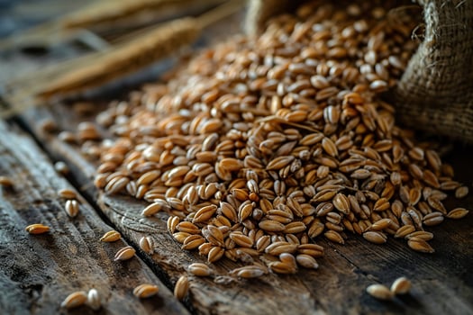 A pile of ripe dry grain on a wooden surface. Cereal harvest concept. Grain shortage. photo