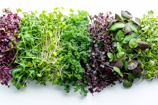Healthy bio organic different microgreen on the white background. Nature baby superfood lifestyle concept. photo