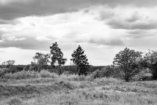 Beautiful horizon scenery in village meadow on color natural background photo