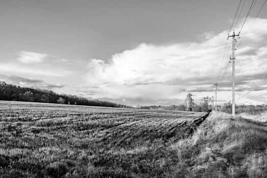 Photography on theme big empty farm field for organic harvest photo