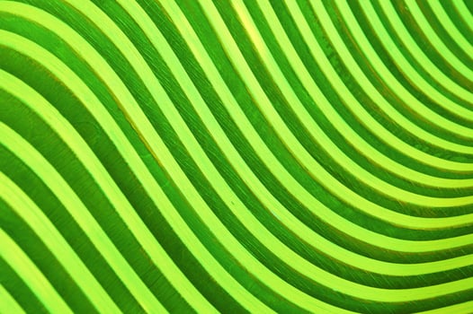 Bright green curved wooden slats. Abstract background. Decorative design for finishing facades and interiors. photo