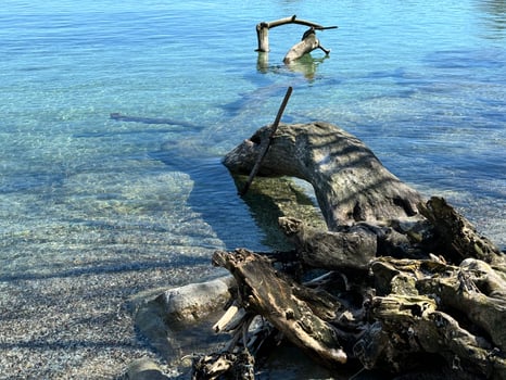 Tree fragments from water. Sea landscape with rocks. Blue sea water. Rocks under water photo