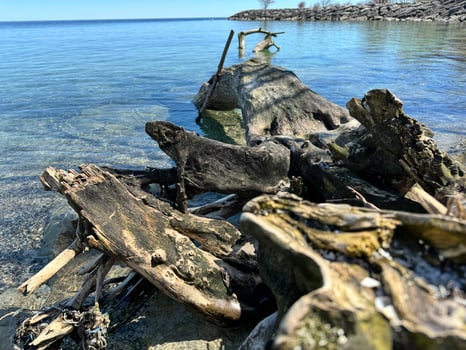 Tree fragments from water. Sea landscape with rocks. Blue sea water. Rocks under water photo