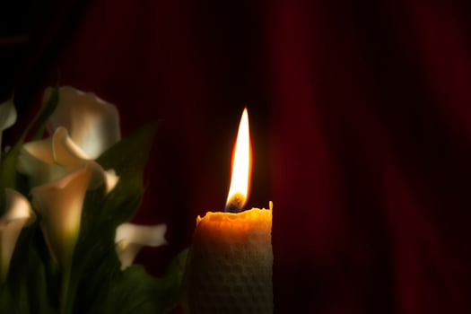 Burning wax candle and white lily flowers in darkness photo