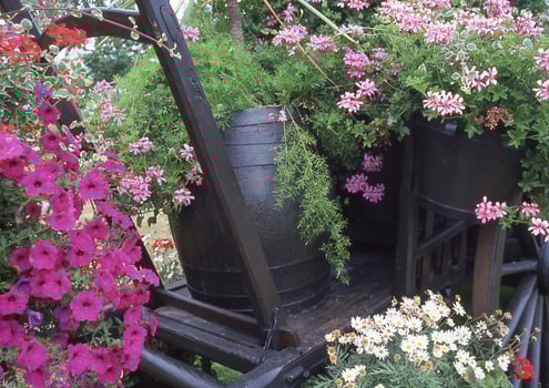 a wagon filled with flowers and plants photo