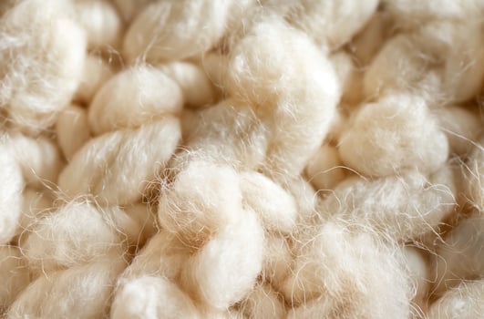 AI generated Raw cotton detail photo