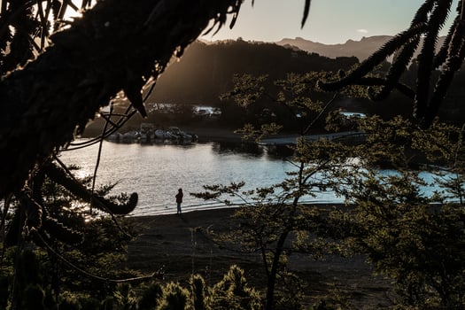 On the Patagonian lake photo