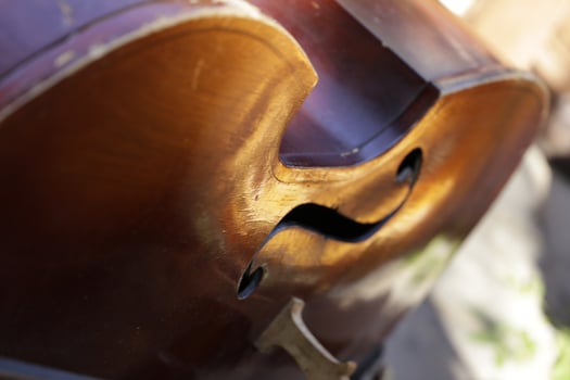 close up of a violin photo