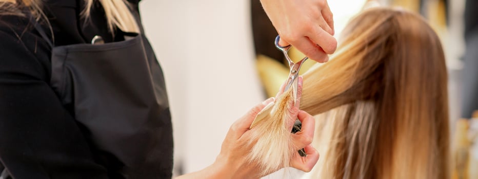 Cutting female blonde hair. Hairdresser cuts hair of a young caucasian woman in a beauty salon close up. photo