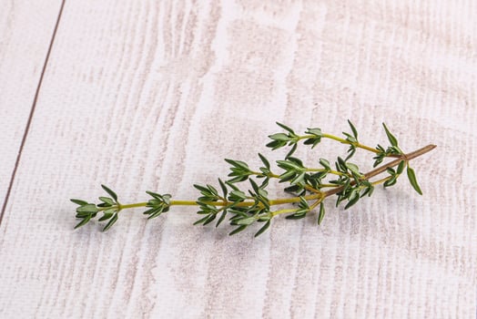 Aroma seasoning thyme stem with leaves photo