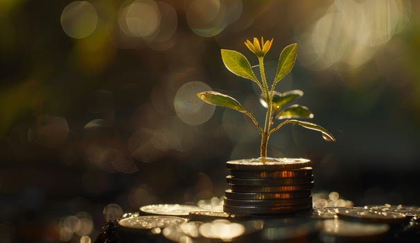 Young plant growing on coins stack. Saving money concept, photo