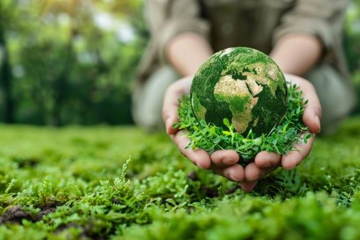 Childs Hands Embrace Green Earth Globe in Lush Forest Setting. A Symbol of Environmental Care and Sustainability photo